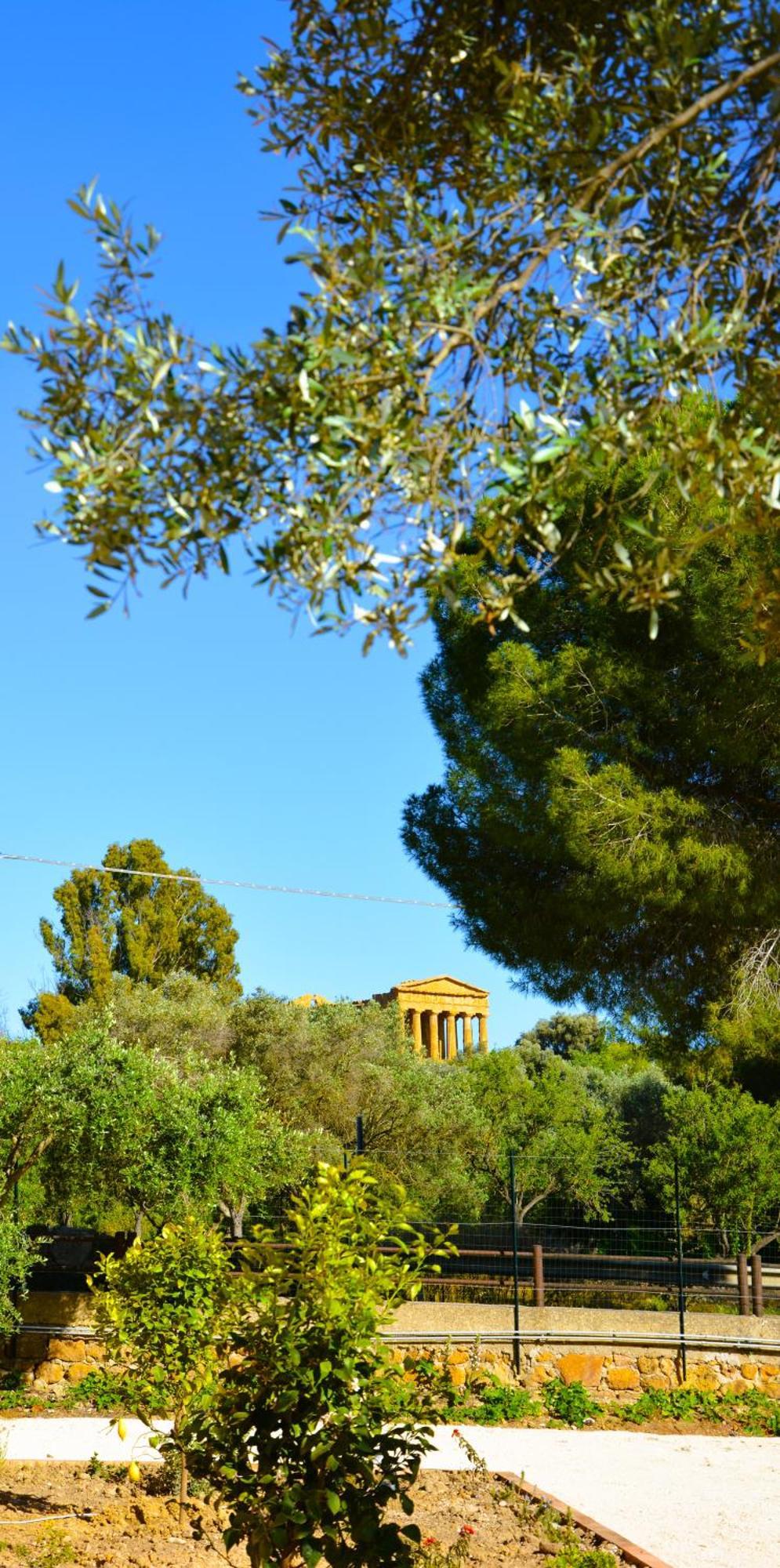 Il Giardino Del Tempio Bed and Breakfast Agrigento Buitenkant foto